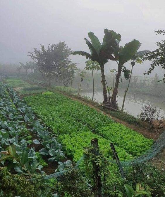 Giờ muốn về quê sống cảnh yên bình như thế này cũng phải có nhiều tiền đúng không?